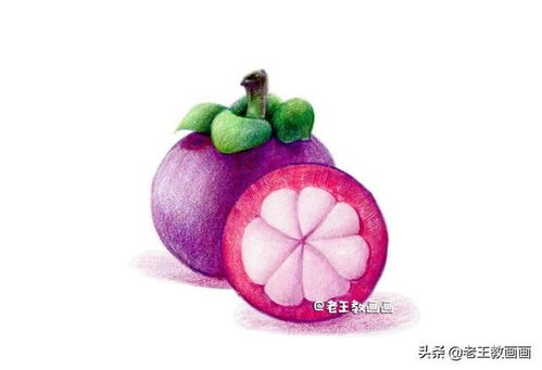 彩鉛入門小教程,教你畫山竹,零基礎(chǔ)也可以學會